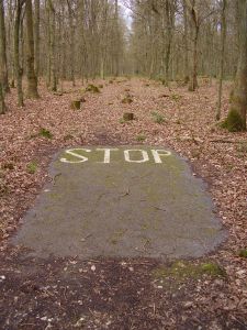 Square piece of road pavement painted with "STOP" in the middle of the woods