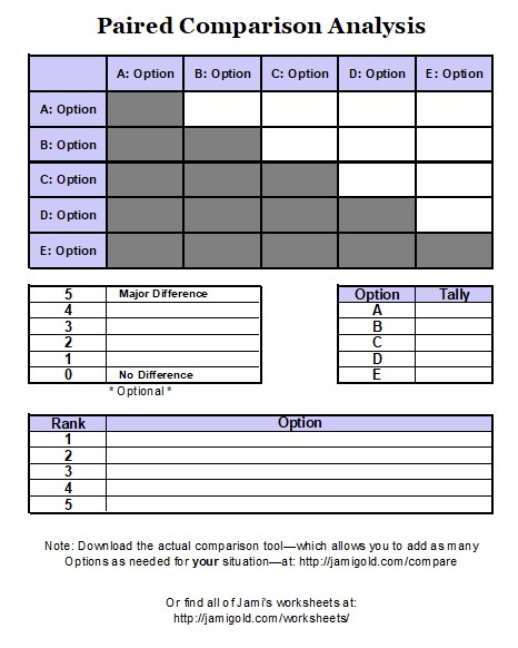 Screen Shot of Paired Comparison Analysis Worksheet