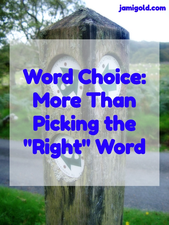 Path sign pointing in 3 directions with text: Word Choice: More Than Picking the "Right" Word