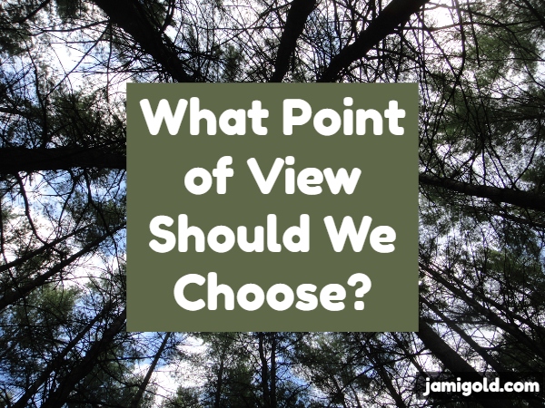 Photo looking straight up into the canopy of a forest with text: What Point of View Should We Choose?